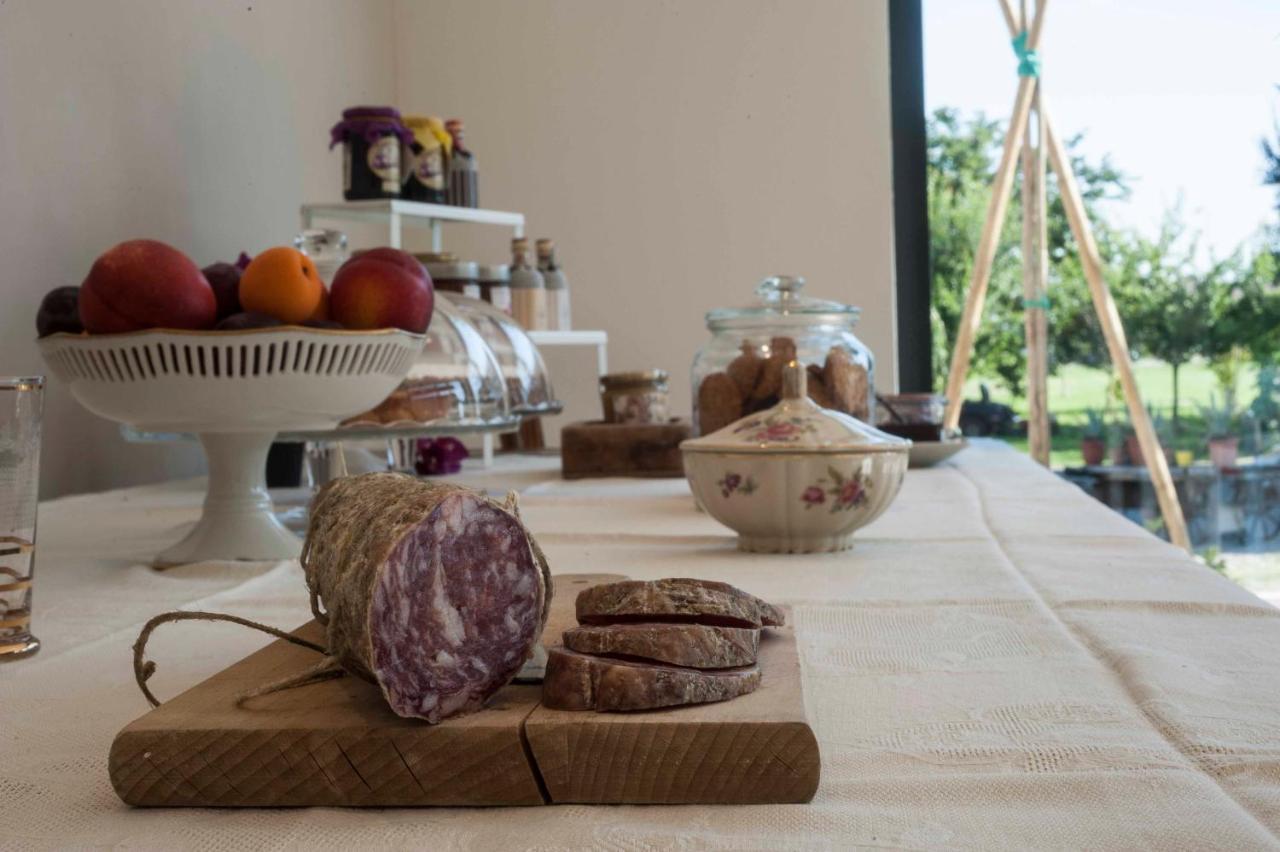 Le Ferrerie Agriturismo Fattoria Marchesini Praticello di Gattatico Kültér fotó